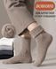 Мужские термоноски Nordvik MerinoShield PRO Brown с шерстью мериноса, антибактериальной защитой 5A и термофлисом до -20&deg;C