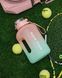 Спортивная бутылка для воды Nordvik HydroPulse Gradient 1.7 л термостойкая с трубочкой Pink-Green