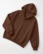 Женское худи свободного кроя LAREN Urban Cloud Oversized Hoodie Brown, S