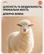Жіночі термошкарпетки Nordvik WoolTherm Pro 200N &ndash; з натуральною овечою вовною, 3mm флісом Black