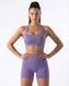Женские короткие велосипедки Nordvik Motion Shorts Northern Berry с высокой посадкой и широким утягивающим поясом в рубчик, L